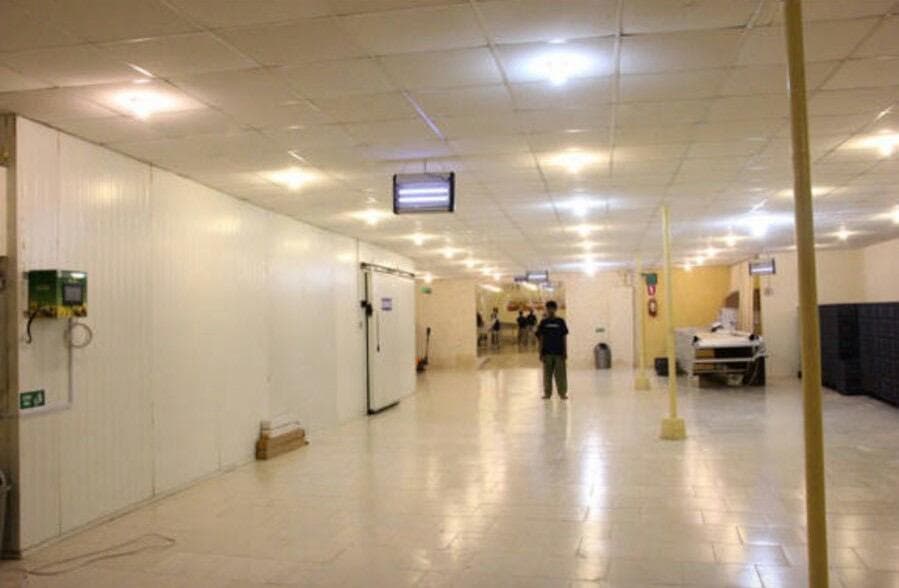 Hira Brand Gallery 26