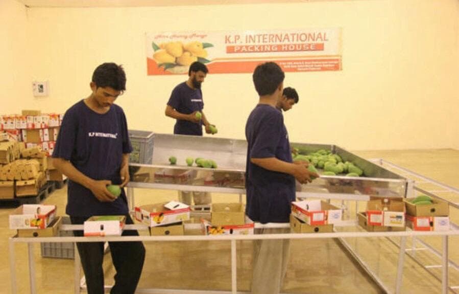 Hira Brand Gallery 24