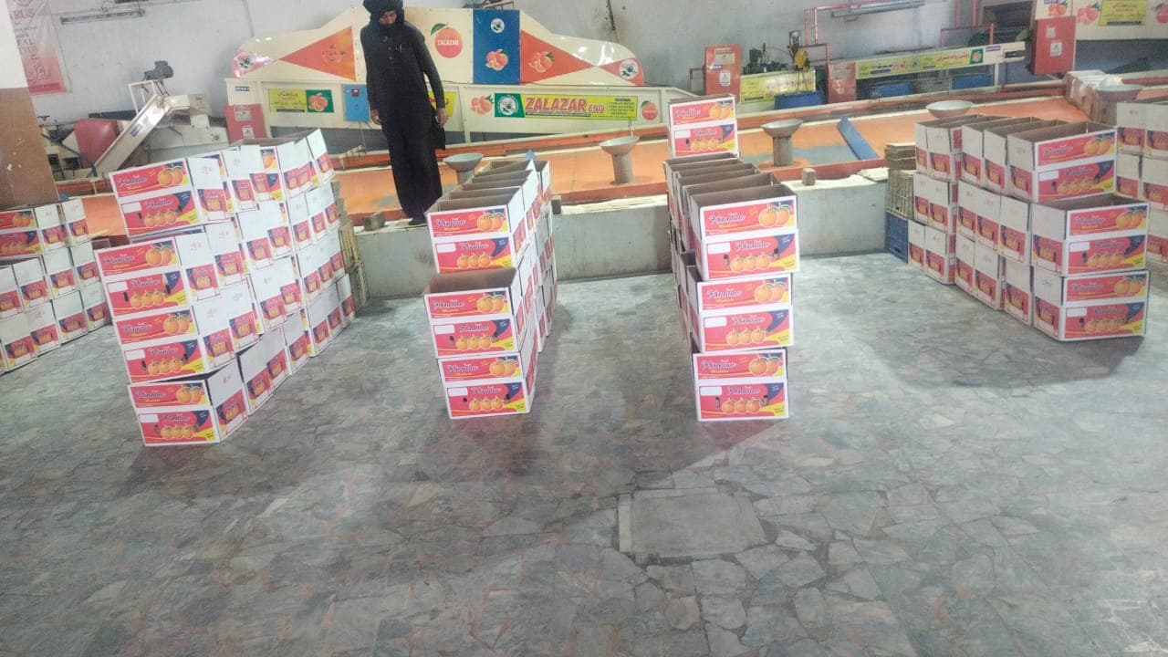 Hira Brand Gallery 18