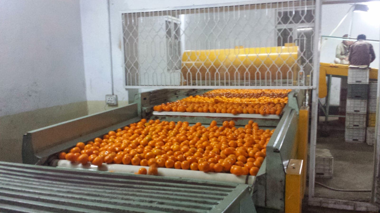 Hira Brand Gallery 7