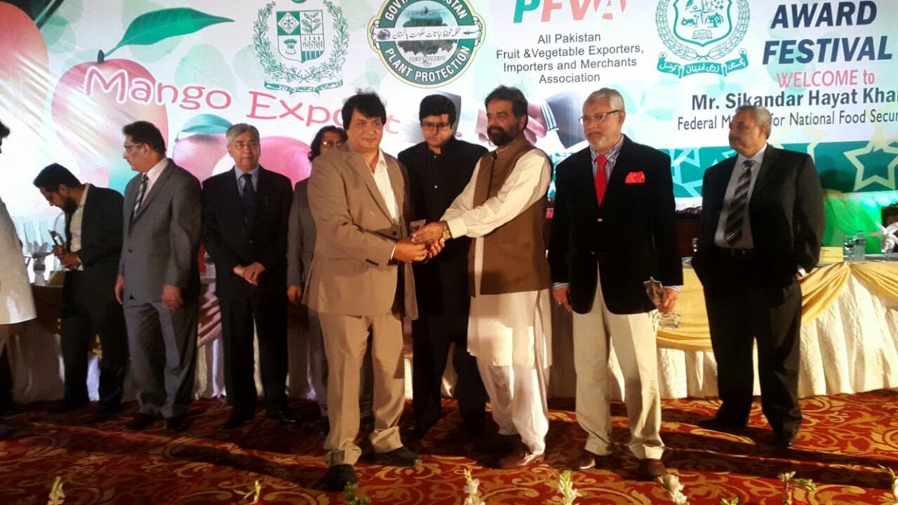 Hira Brand Gallery 6